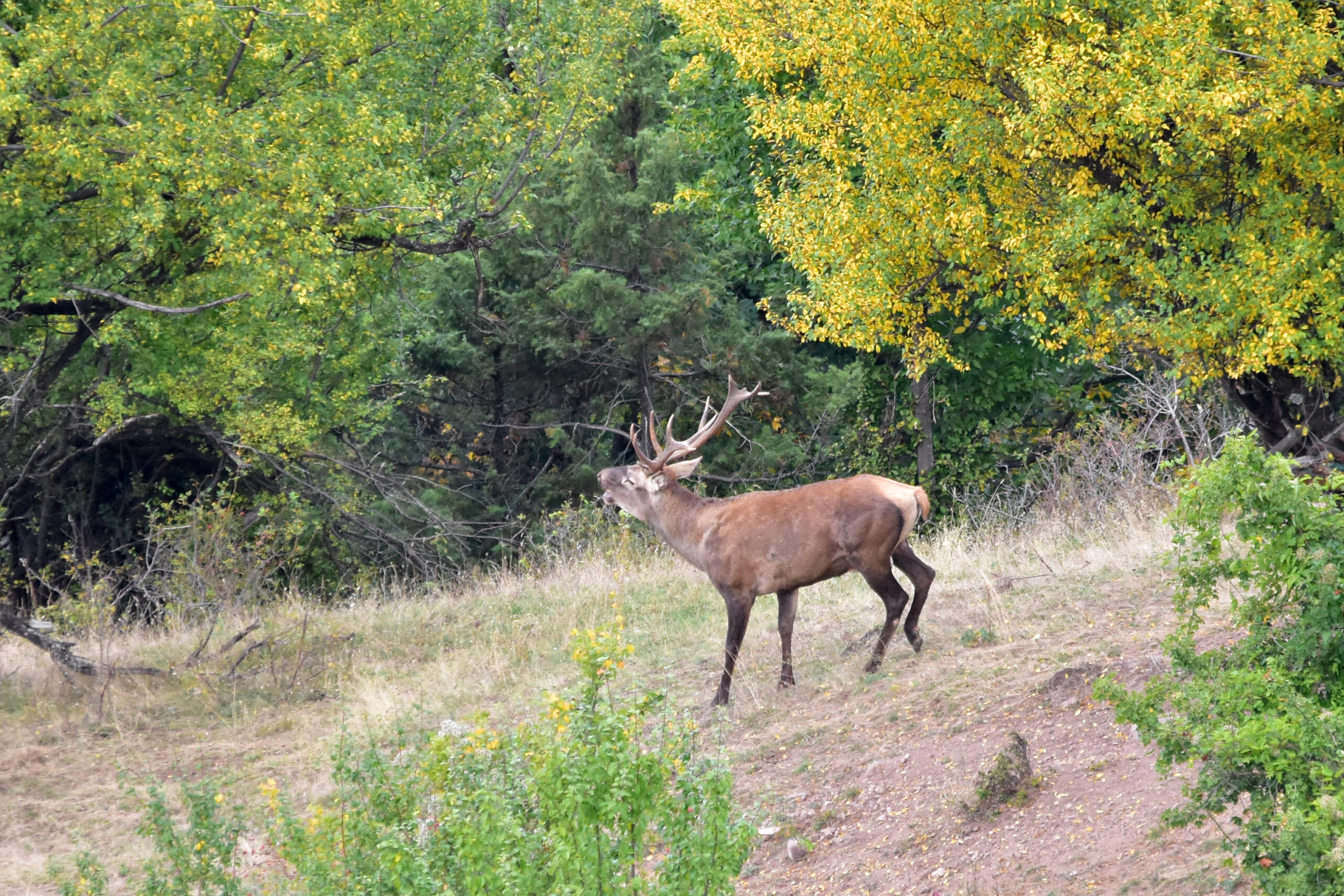 DSC 38902 scaled