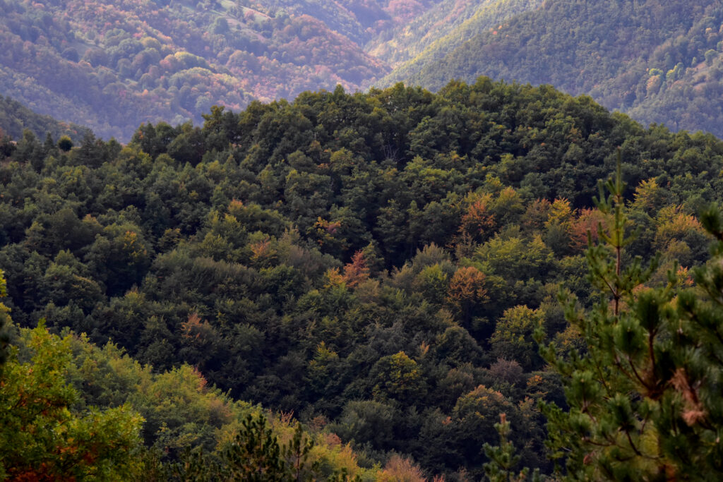 DSC 4001