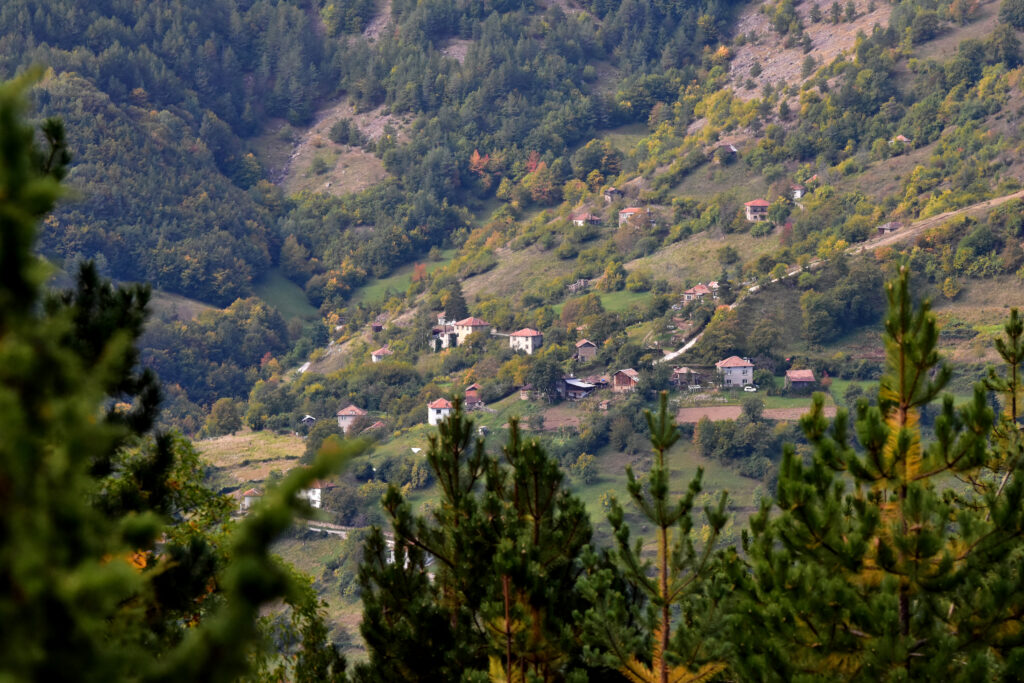 DSC 4002