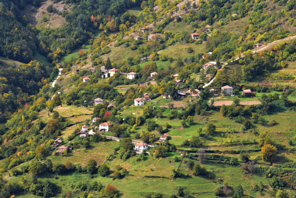 DSC 4018