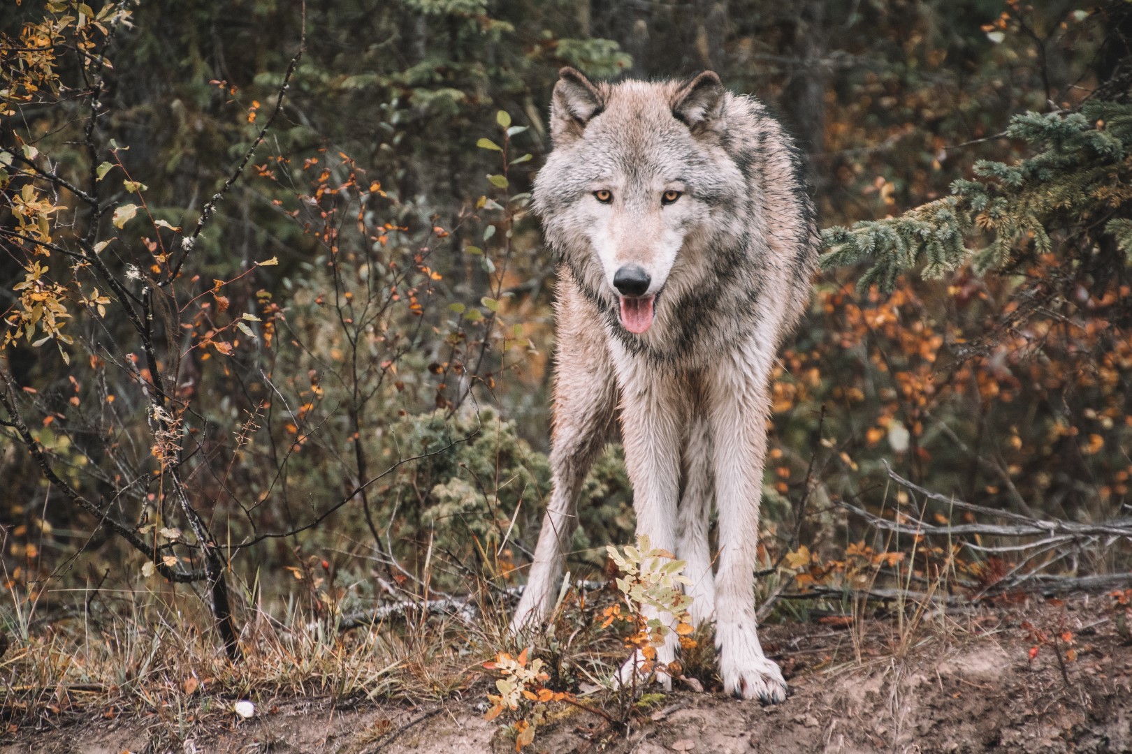 brianna r hOGzDomlbIY unsplash