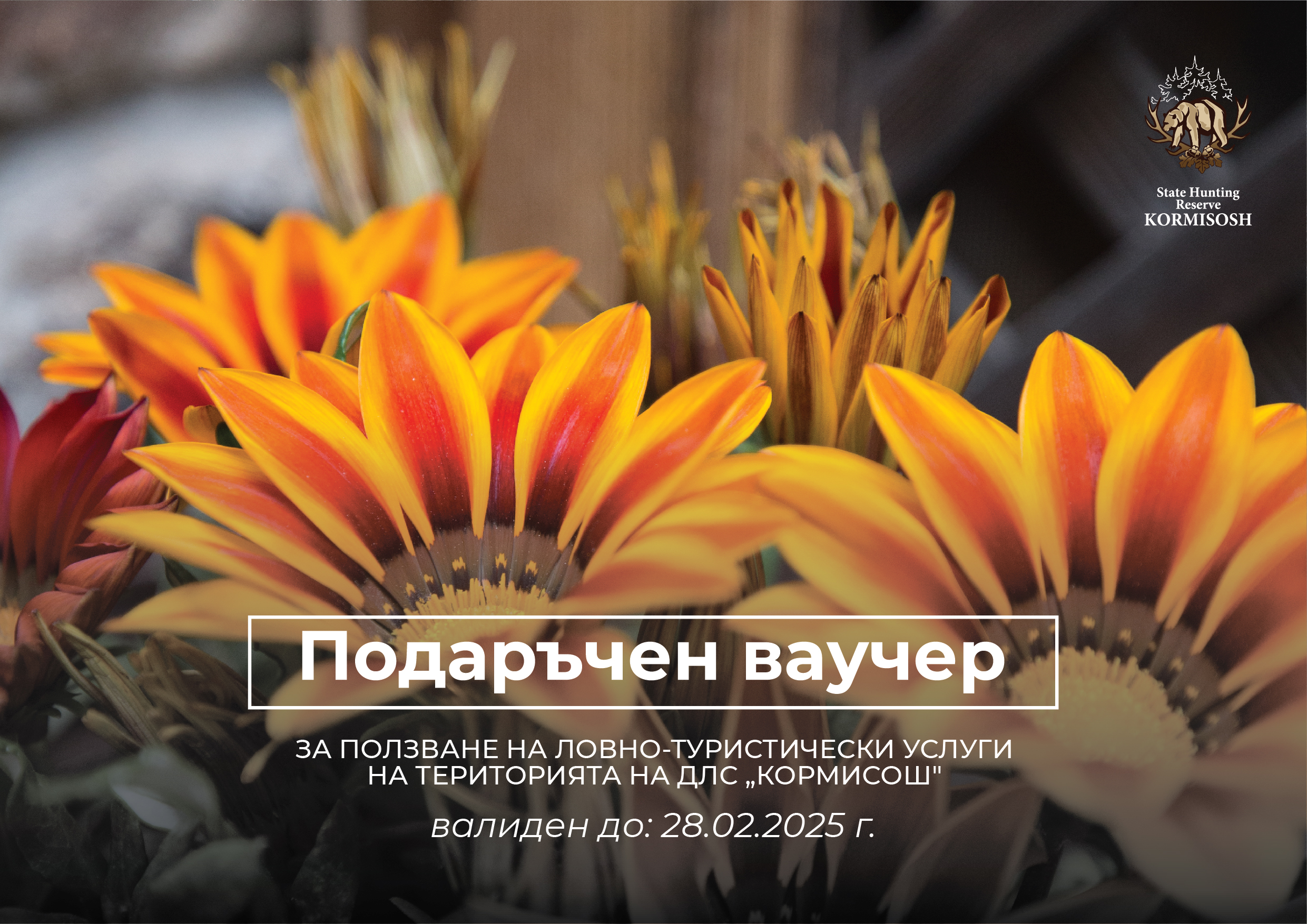 Оранжеви цветя